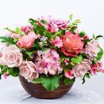 siam orchid-036